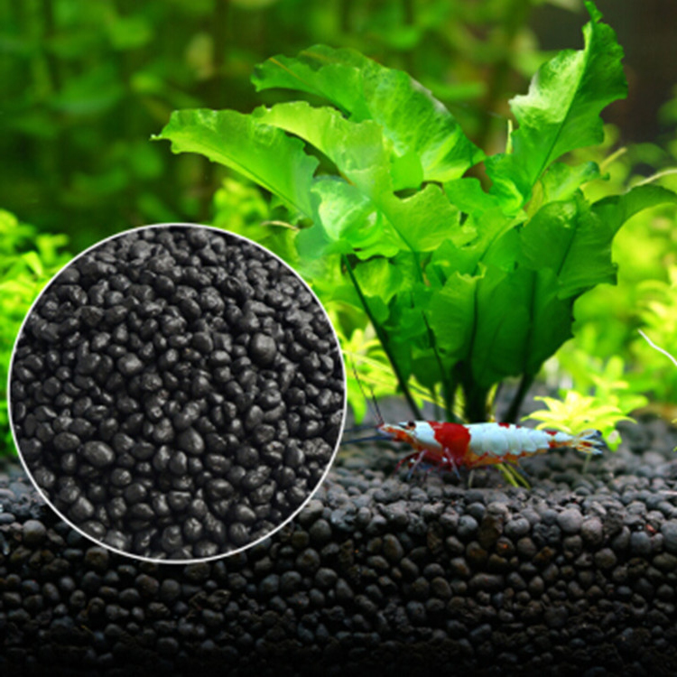 Fish Aquarium Home - Akvaryum bitki tohumları toprak balık tankı