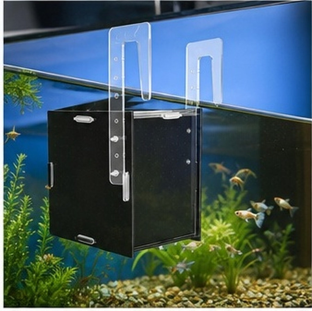 Aquarium Fish Betta - Balık Yetiştirme İzolasyon Kutusu, Akrilik Akvaryum,