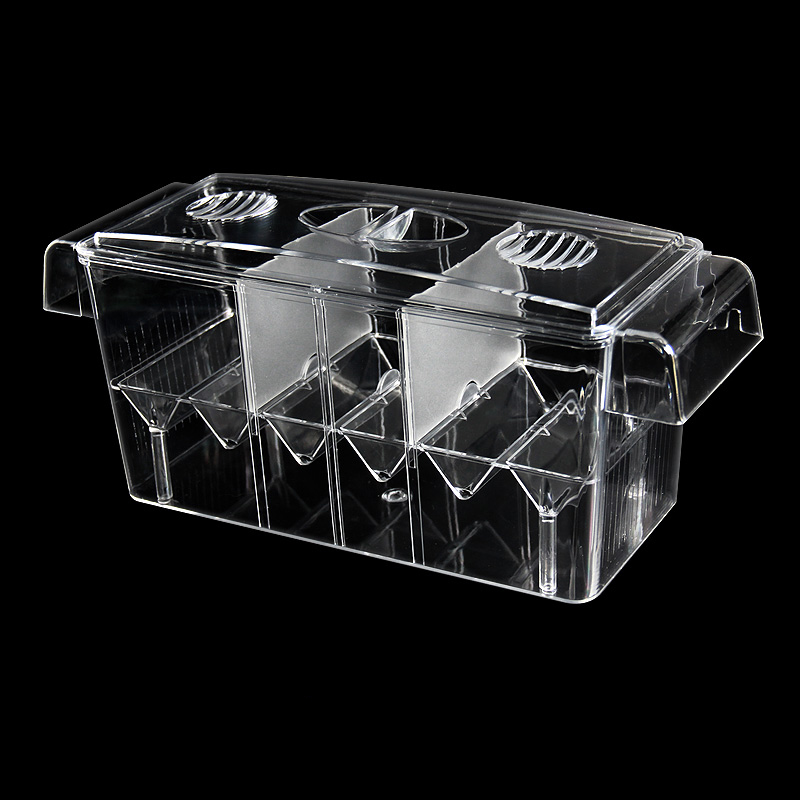 Temizle akvaryum balık tankı i - Aquarium Fish Betta incelemesi ve fiyatı