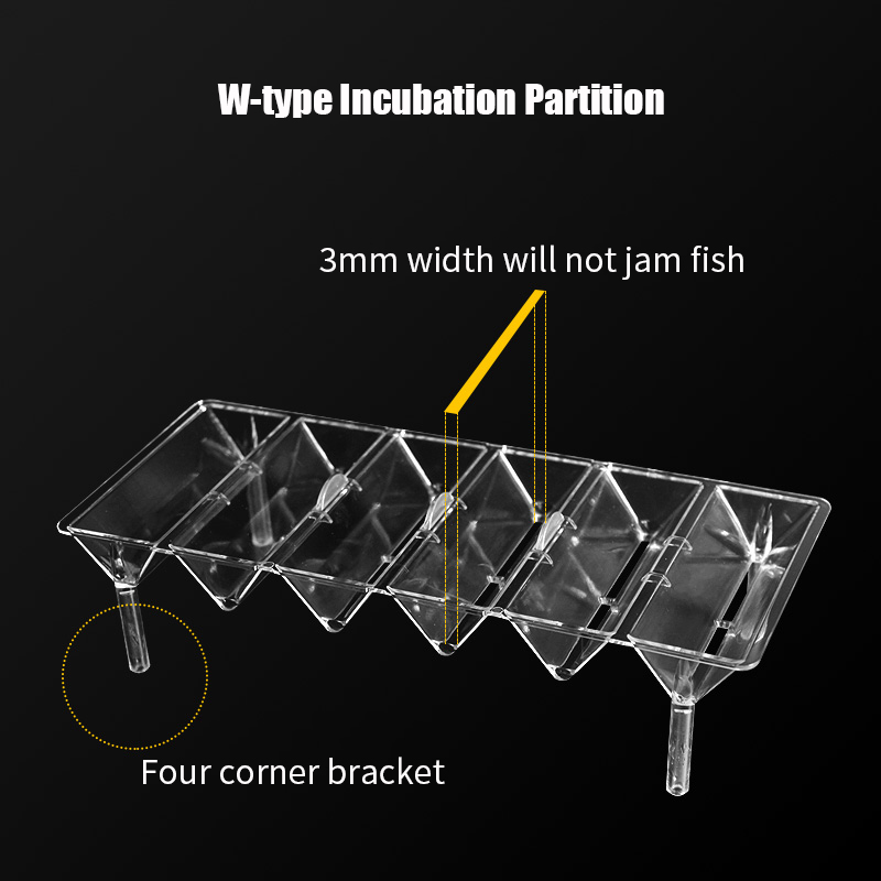 Temizle akvaryum balık tankı i - Aquarium Fish Betta incelemesi ve fiyatı
