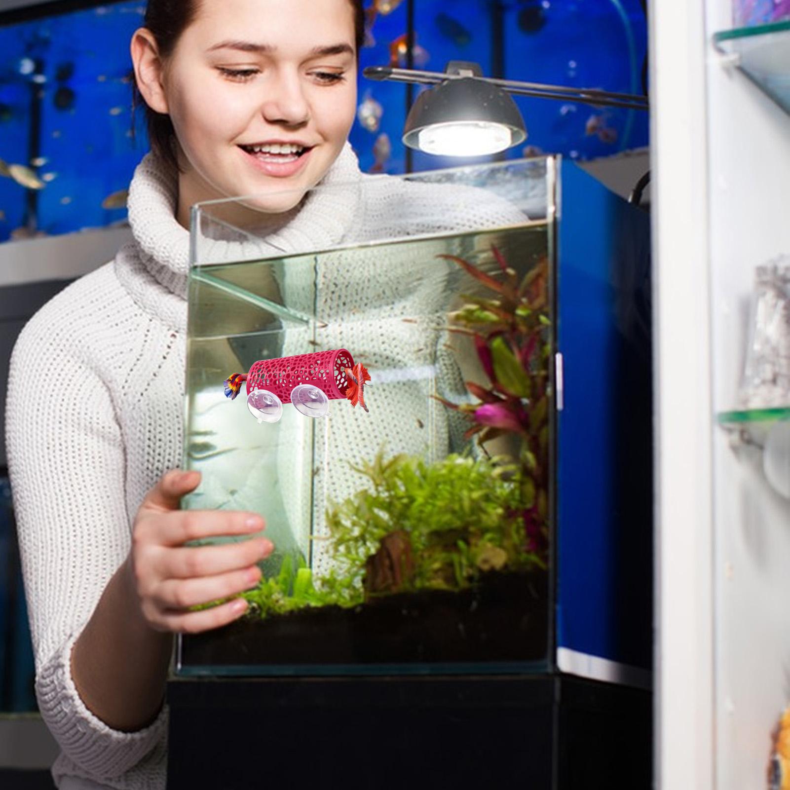 Betta Habitat Dinlenme Barınağ - Aquarium Fish Betta incelemesi ve fiyatı