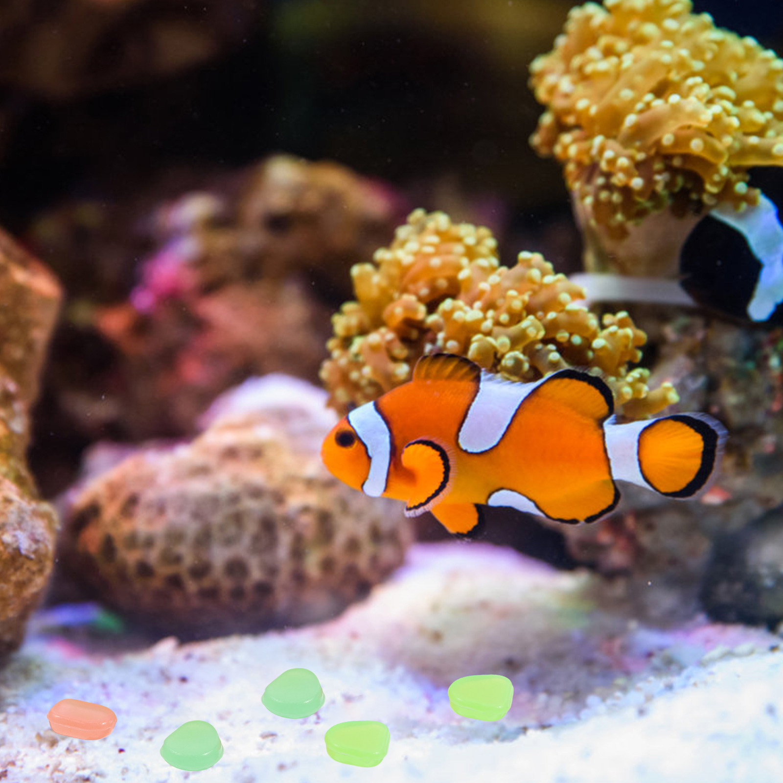 400 Adet Karanlıkta Parlayan T - Fish Tank Gravel incelemesi ve fiyatı