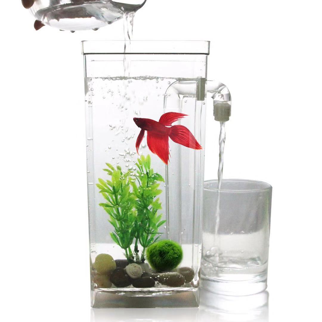 Tembel ücretsiz su değişimi ma - Aquarium Fish Betta incelemesi ve fiyatı