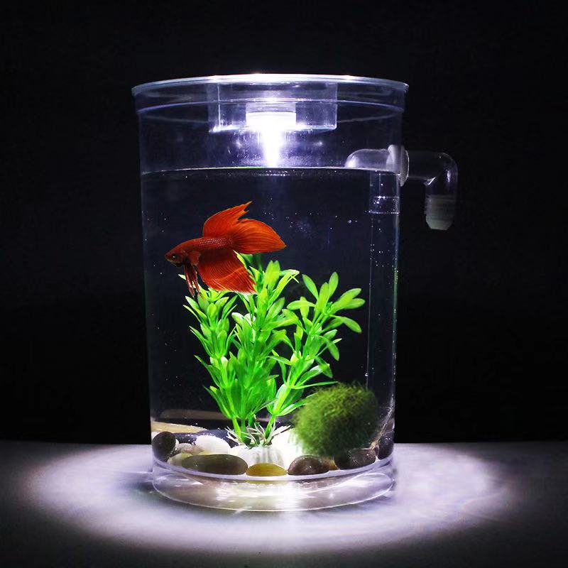 Tembel ücretsiz su değişimi ma - Aquarium Fish Betta incelemesi ve fiyatı