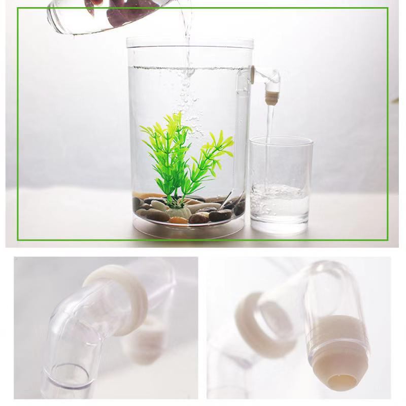 Tembel ücretsiz su değişimi ma - Aquarium Fish Betta incelemesi ve fiyatı