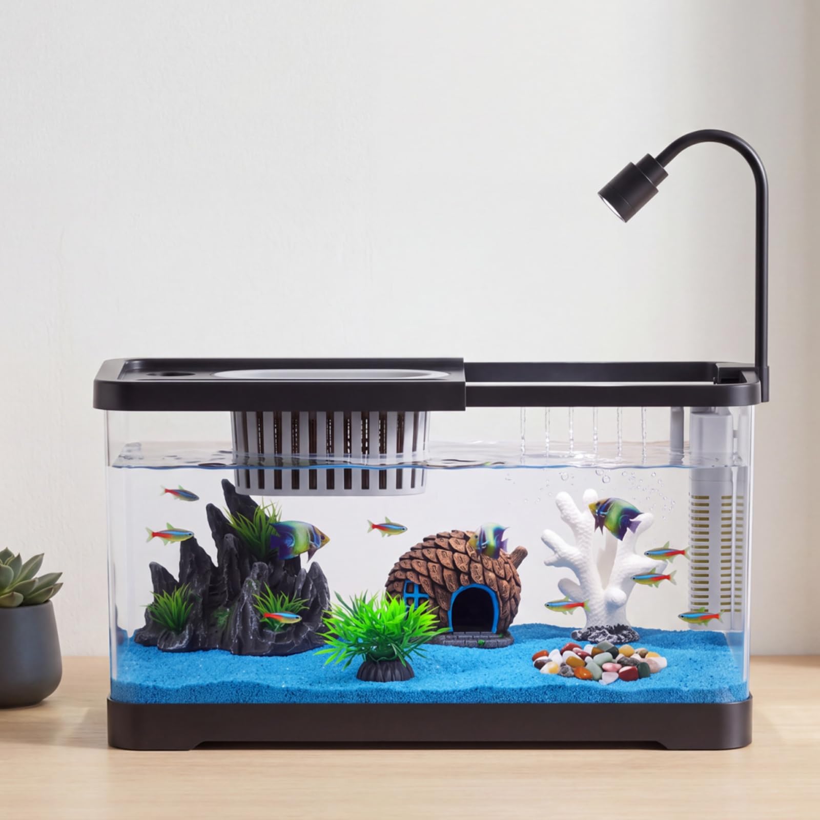 Balık Tankı Başlangıç Seti, Fi - Betta Fish Tank incelemesi ve fiyatı