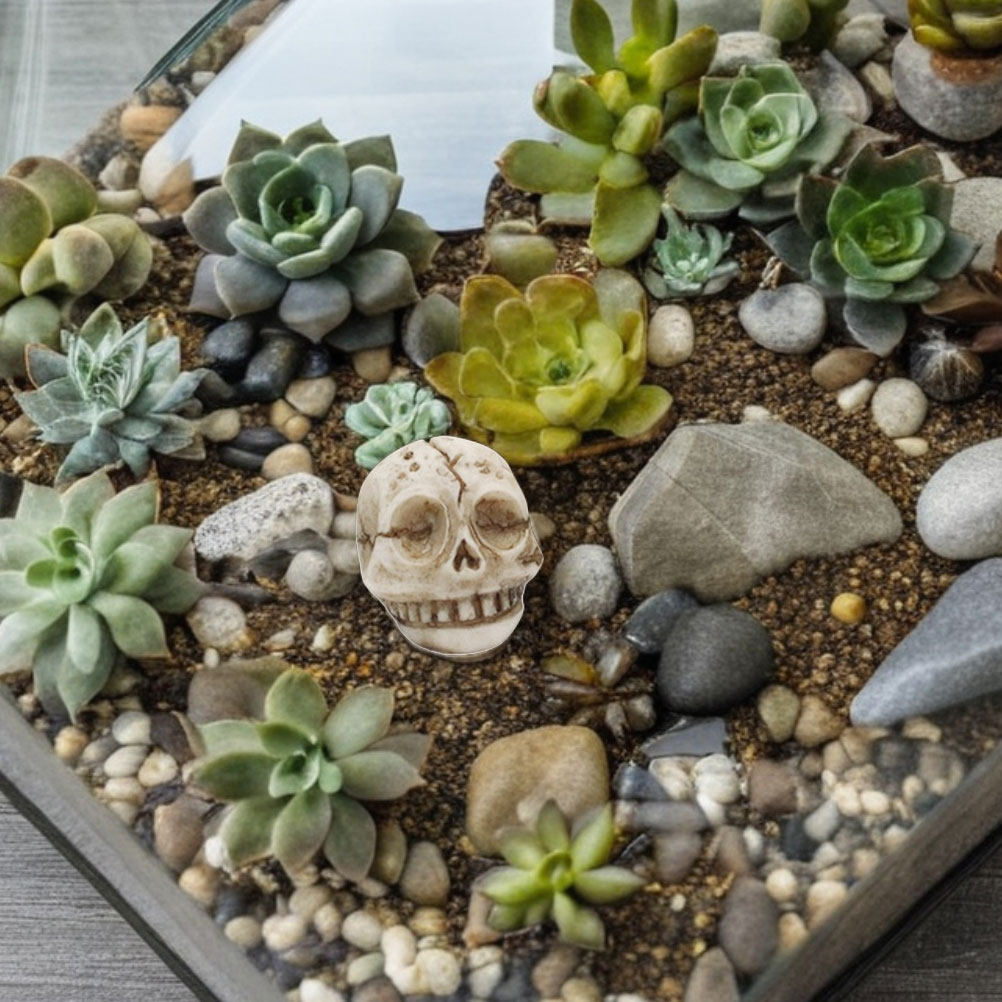 20 Adet Reçine Kafatası Süsü,  - Aquarium Decor incelemesi ve fiyatı