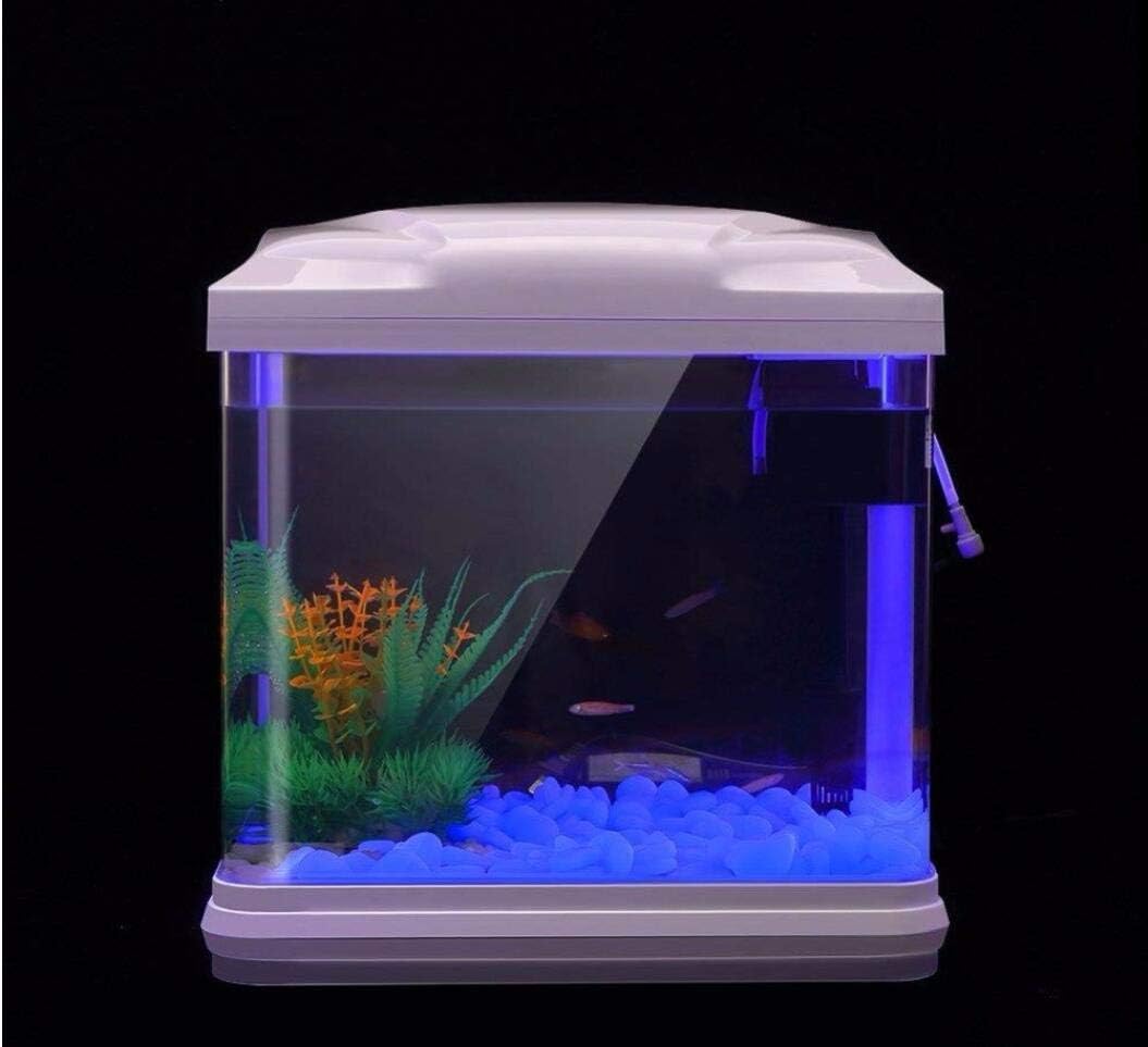 Balık Tankı Kayalar Bahçe için - Fish Tank Gravel incelemesi ve fiyatı